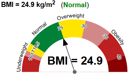 image of BMI of 24.9