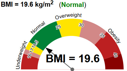 image of BMI of 19.6
