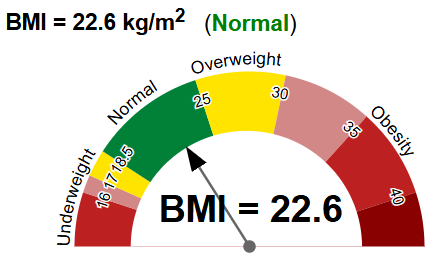 image of BMI of 19.6
